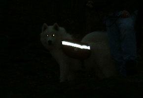 It was very dark when we started the hike