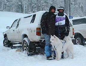 Ready for the second day of skijor racing